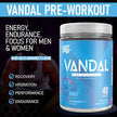 VNDL Project Vandal Pre-Workout