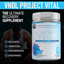 VNDL Project Vital - Endurance, Recovery & Hydration