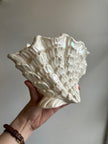 Vintage 1980s Maddeaux White Pearl Lustre Glaze Shell Shaped Vase