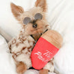 Tim Pawtons Dog Toy (Back in Stock MAY 2026)