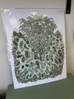 Kimboho Art Print Great Pine  14” x 11”