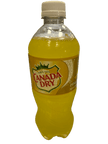 Canada Dry Ananas, bouteille 591ML