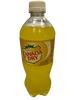 Canada Dry Ananas, bouteille 591ML