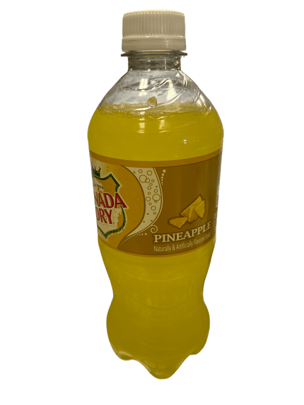 Canada Dry Ananas, bouteille 591ML
