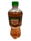 Canada Dry Fruit Splash Cherry Ginger Ale 591ML