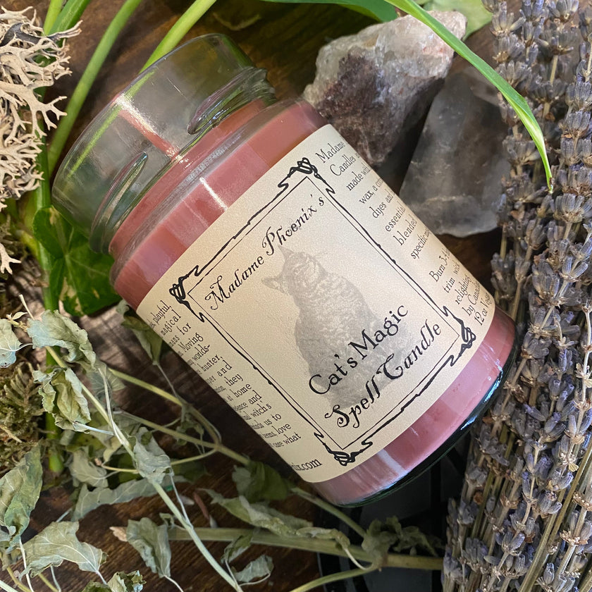 Animal Magic Familiar Spirit Blessing Candles