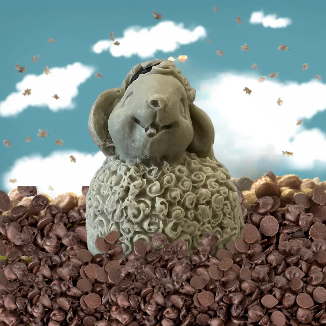 Savon en Forme de Mouton 20g 🧼🐑