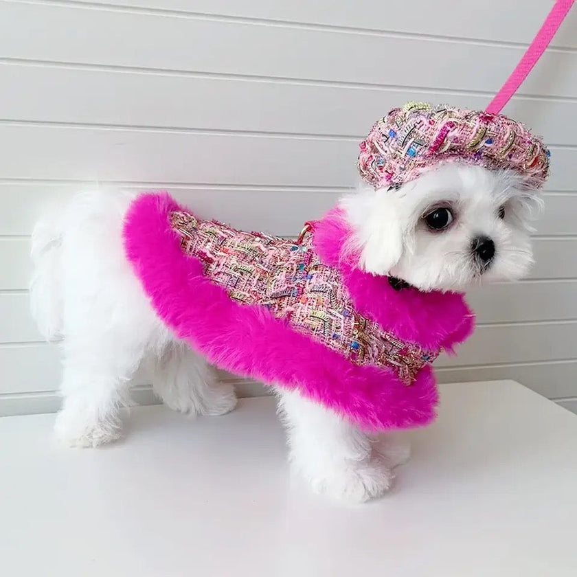 Sweet November Garden Harness Dress Set | Dress with Hat and Leash