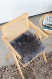 Shorn Silver Icelandic Sheepskin Chair Pad