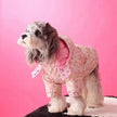 Spring Jacket
