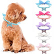 Pearl Rhinestone Dog Collar