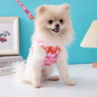 Chewy Vuittawn Dog Harness & Leash Set