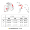 Waterproof Bow Dog Harness & Leash Set