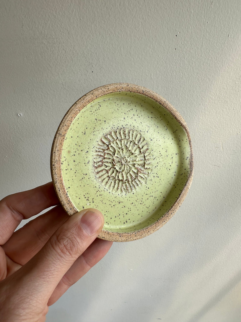 Earth to Ember | Handmade Speckled Stone Garlic Grater Dish | Green