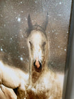 Genesis of a Unicorn Fine-Horse canvas-Wildlife Art-RGB varnish