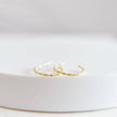 Willow Twist Hoops