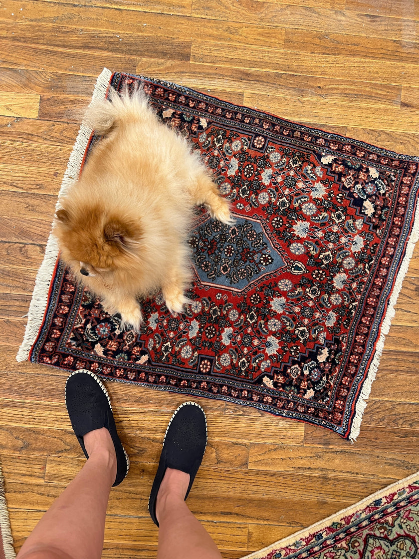 Persian Bijar Rug | 2' 4