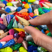 Mini Gnomes Collection Pack