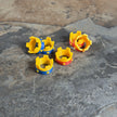 Mini Crown Pack