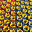 Mini Crown Pack