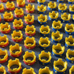 Mini Crown Pack