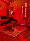 Kivo Vital 1000 Bundle: 2 x Vital 1000 & Easel Stand