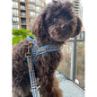 Prince Houndstooth Blue One-Click Dog Harness
