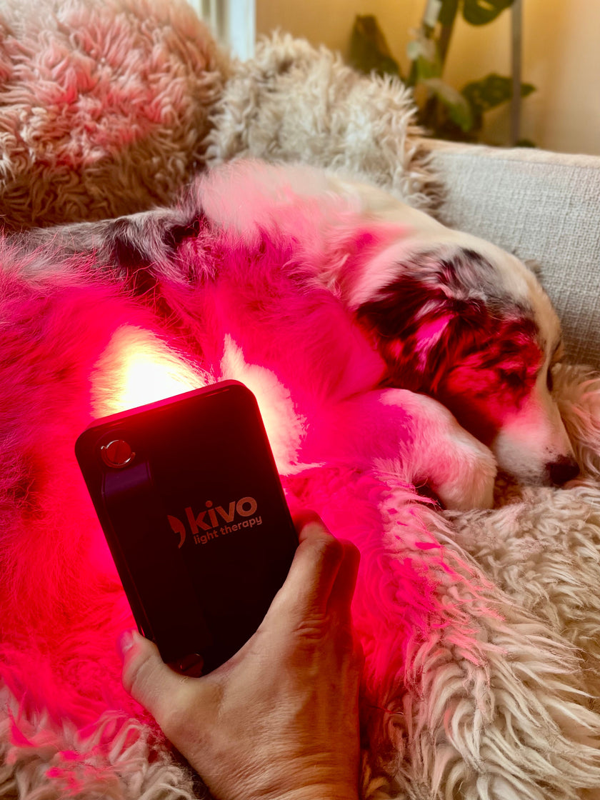 Kivo MINI Series
