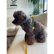 Scotland Tartan One-Click Dog Harness