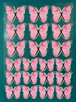 Edible Butterflies Cake Decorations