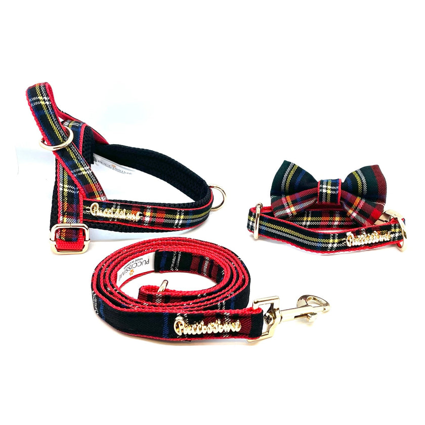Carnegie leash with hands-free extension