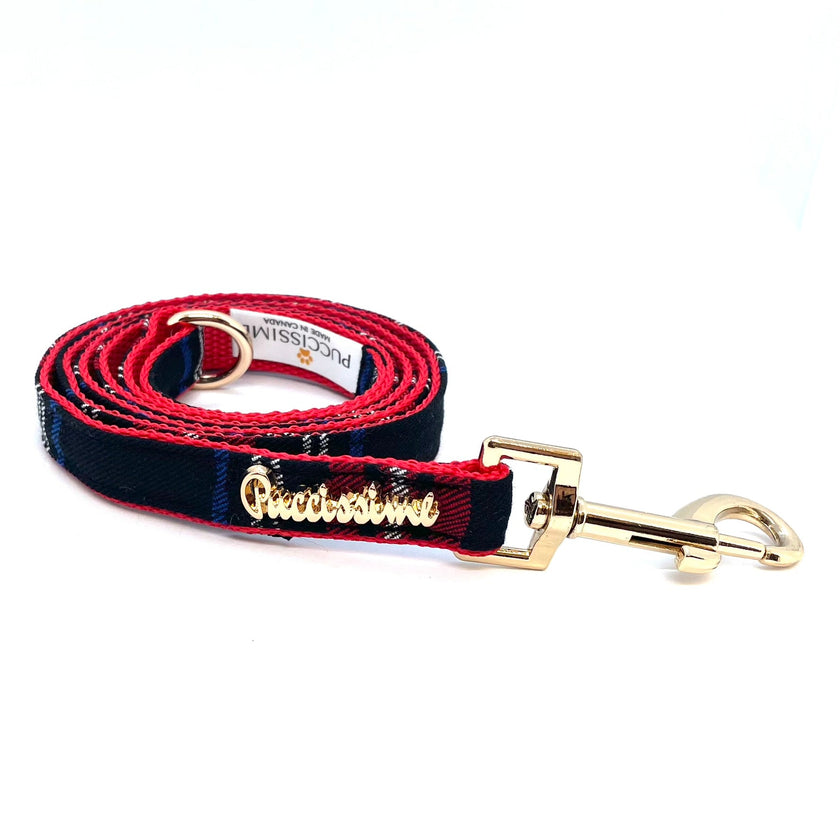 Carnegie leash with hands-free extension
