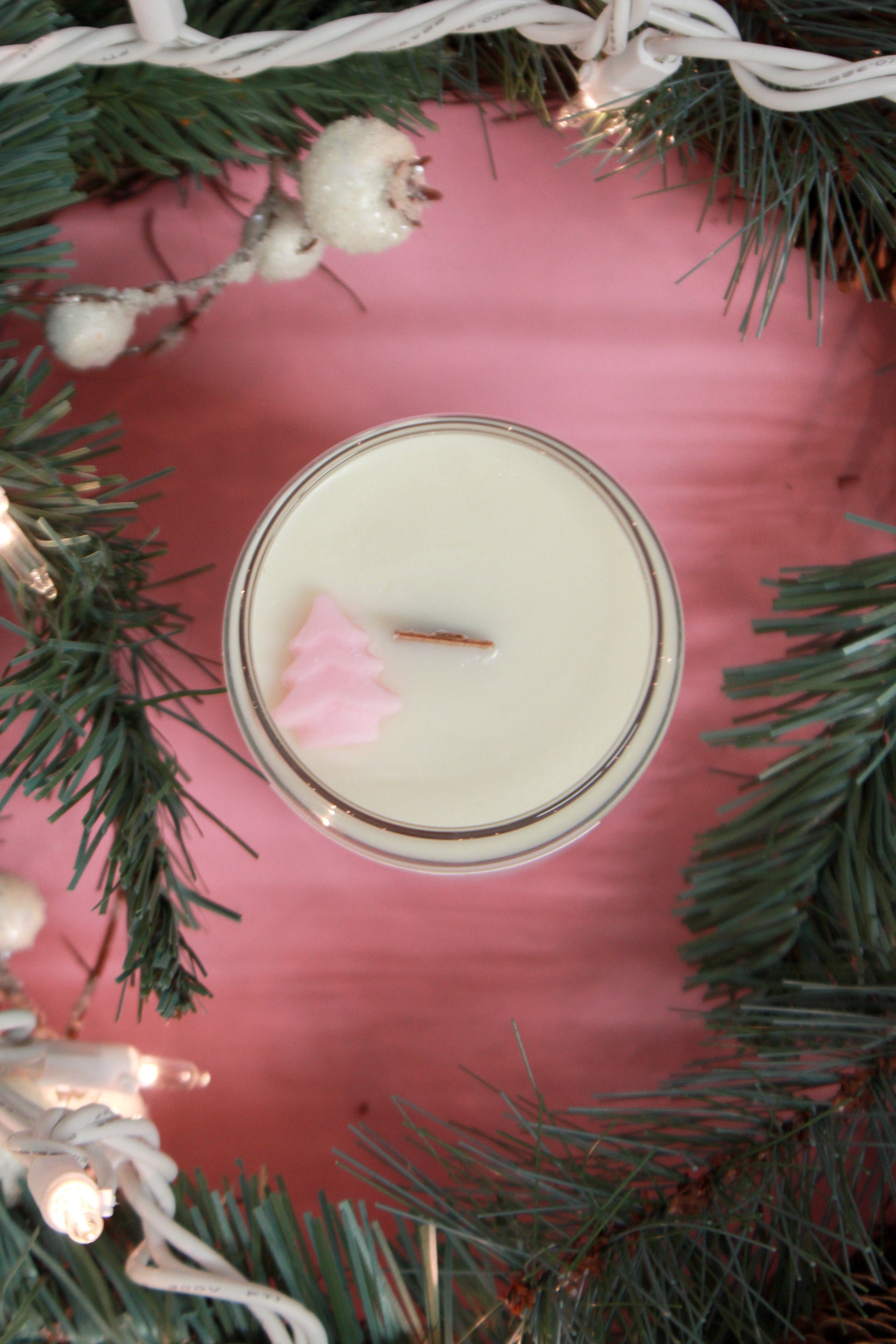 Chandelle de soya 16 oz - Holly Christmas