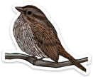 Vinyl Sticker - Song Sparrow