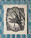 'Green Darner Dragonfly' lino print