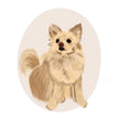 Custom Pet Portrait Illustration
