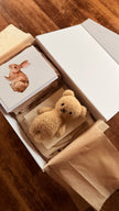 The Nursery Box