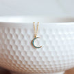 Turquoise Crescent Moon Necklace