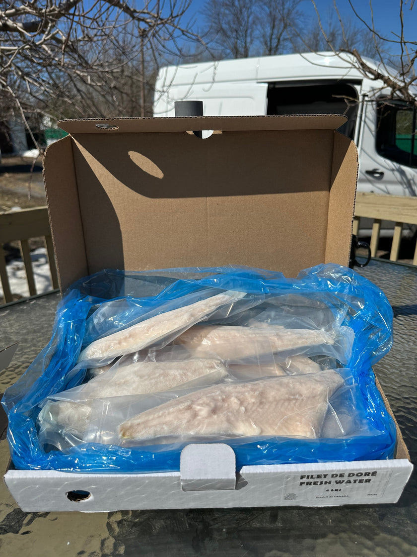 Boîte- Poissons Surgelés  jusqu' à -78°f - Filets