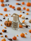 Pumpkin S'mores Car Diffuser