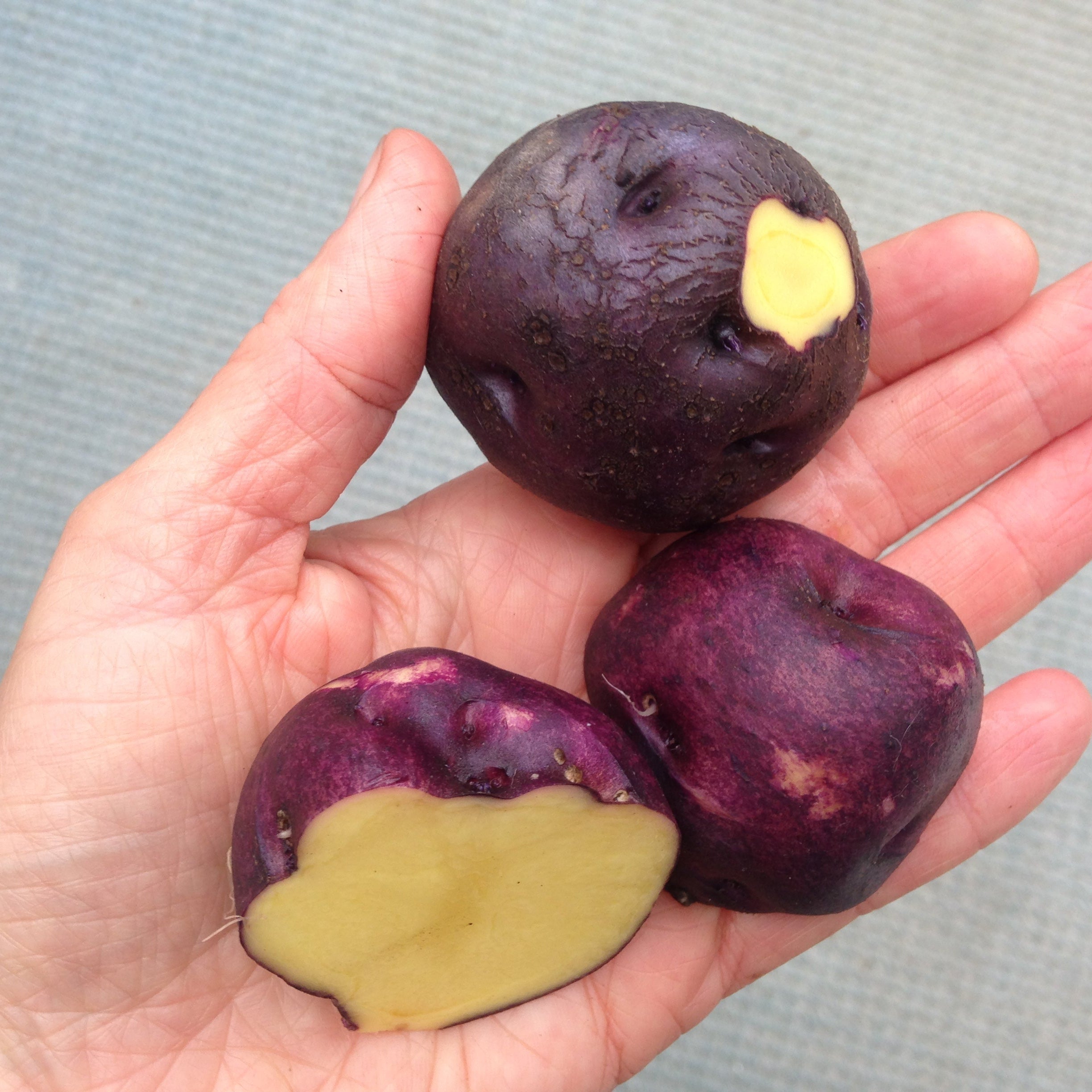 Potato Fruit Seeds