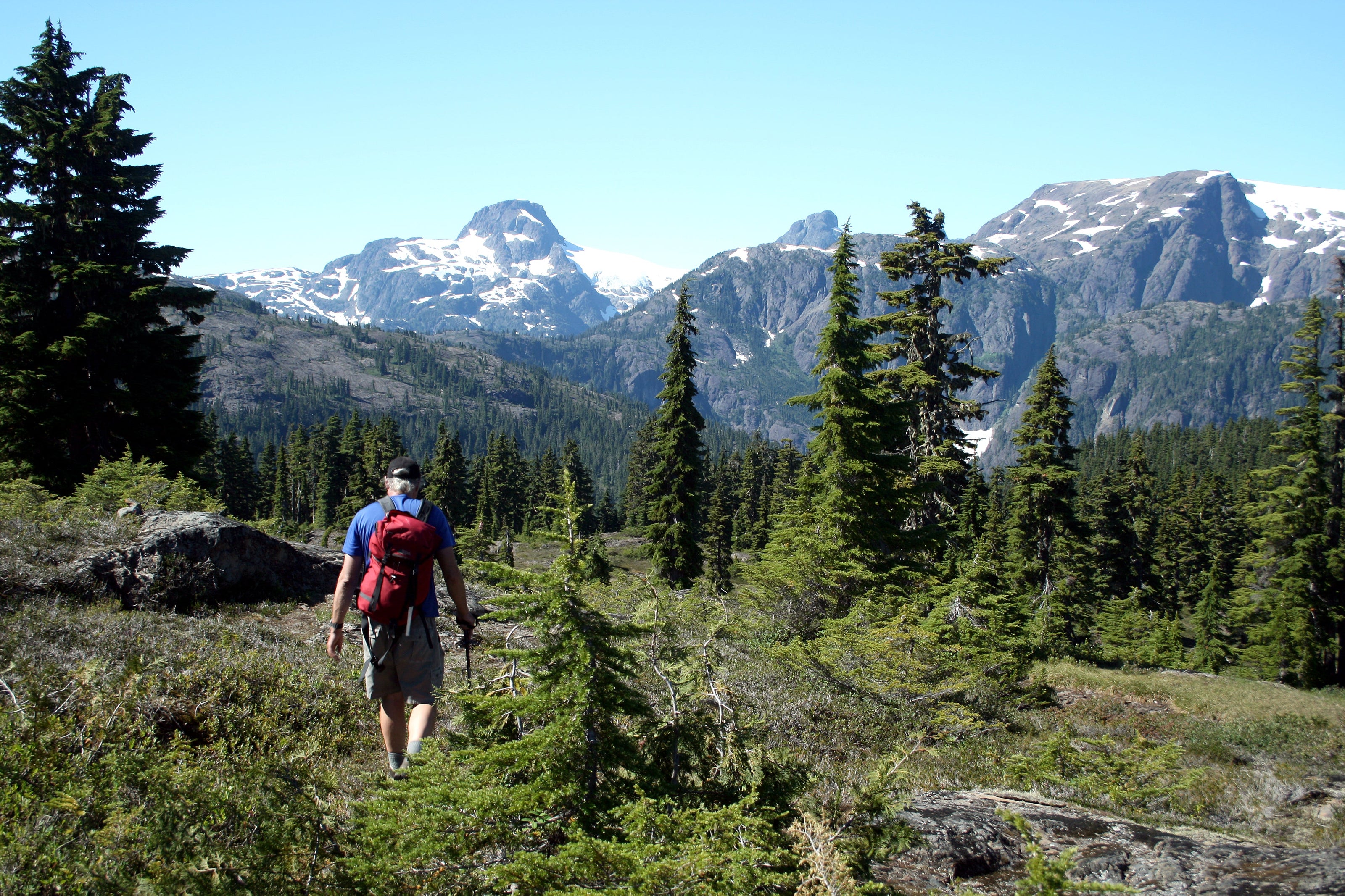 401 - Forbidden Plateau / Strathcona Provincial Park Topographic Trail Map