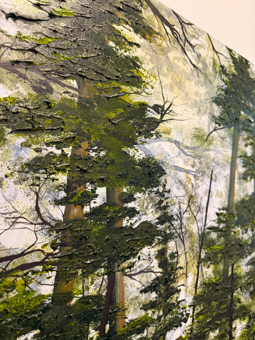 Shady Lake Trail