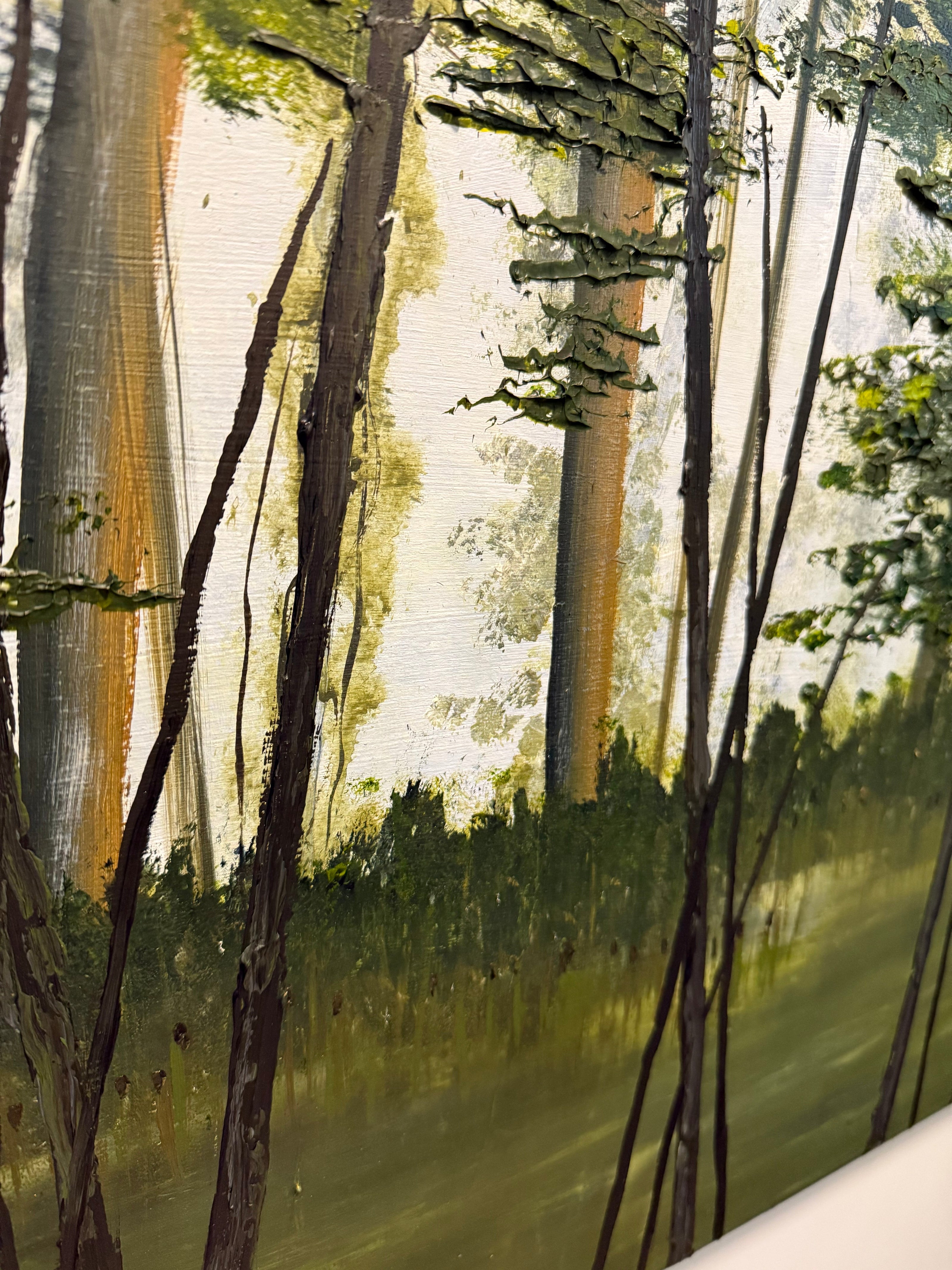 Shady Lake Trail
