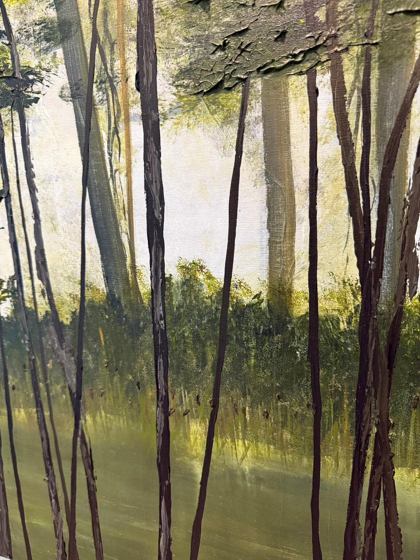 Shady Lake Trail