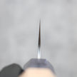 Hatsukokoro Hayabusa VG-10 Gyuto 210 mm