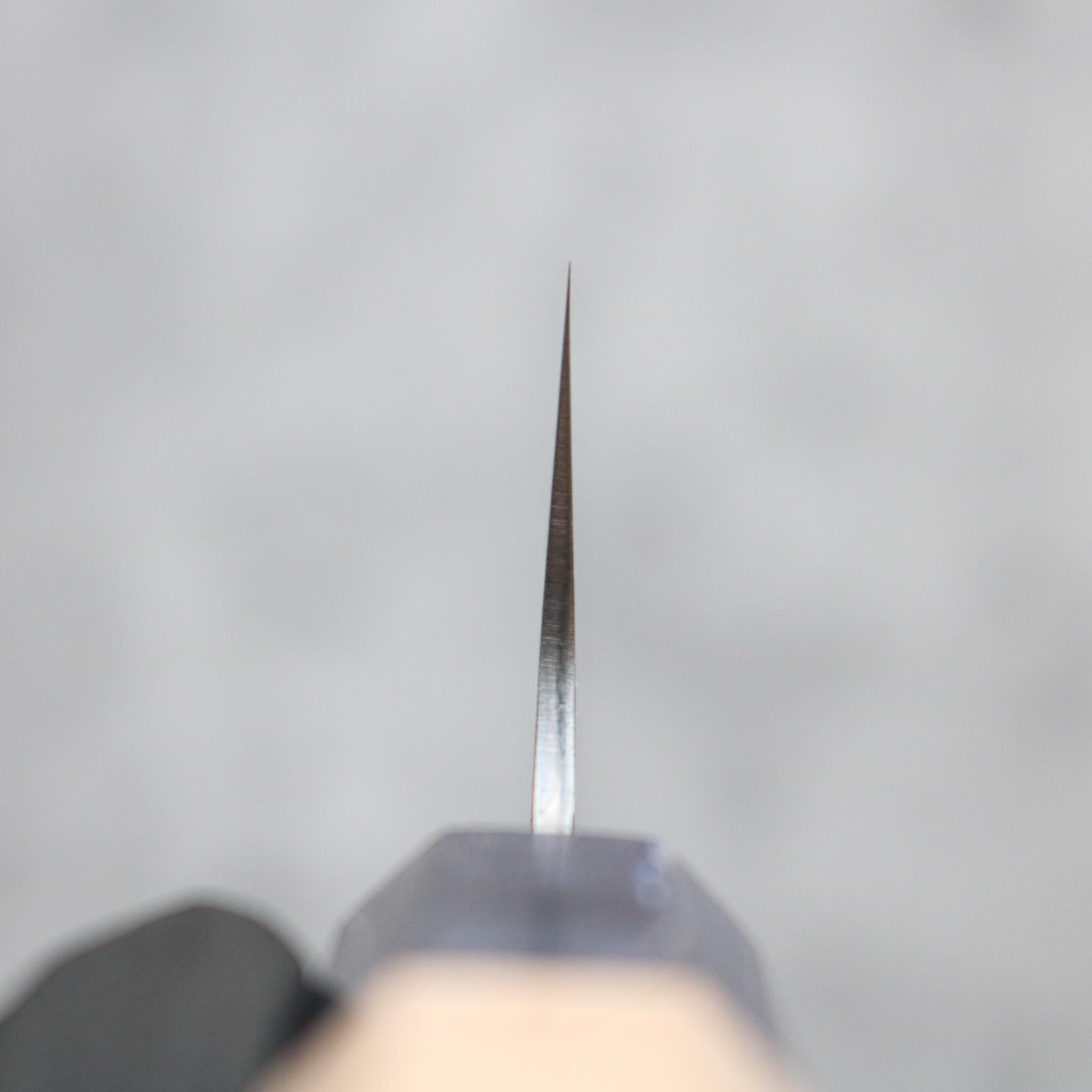 Hatsukokoro Hayabusa VG-10 Gyuto 210 mm