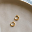 Les Micros Hoops