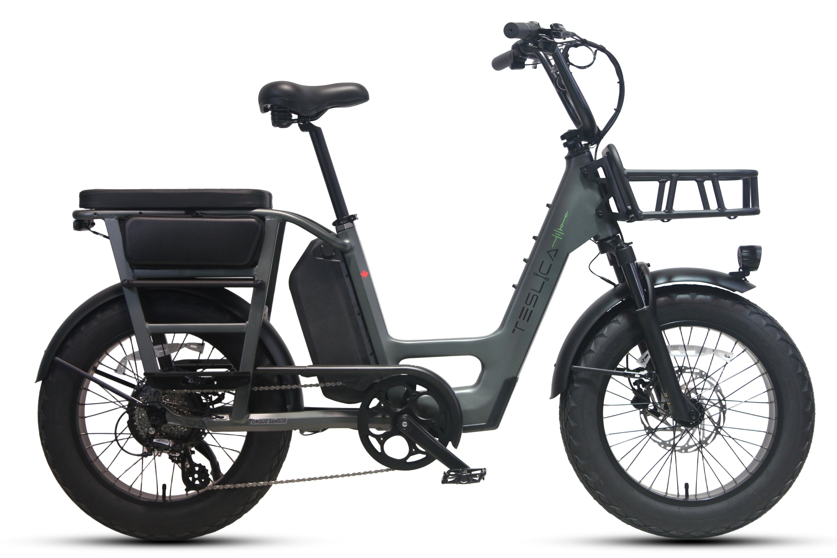 Care-Go Cargo 1200W eBike (CG2) | 32 Km/hr Top Speed  | 160 Km Range