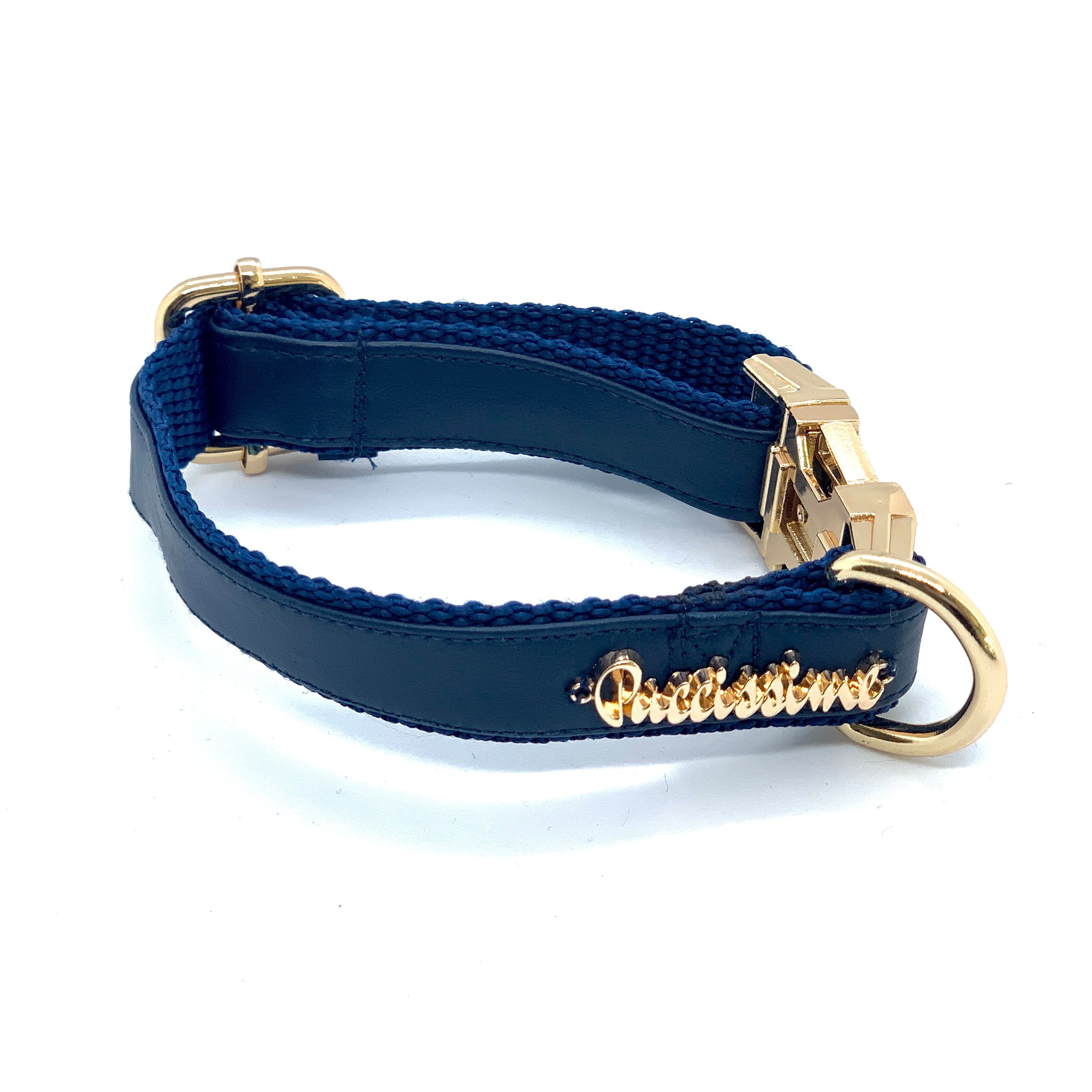 Neptune Collar